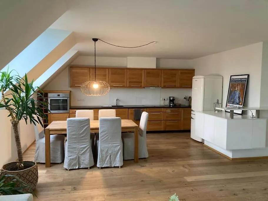 Central Rooftop Flat With Fire Place And Terrace Appartement Wenen