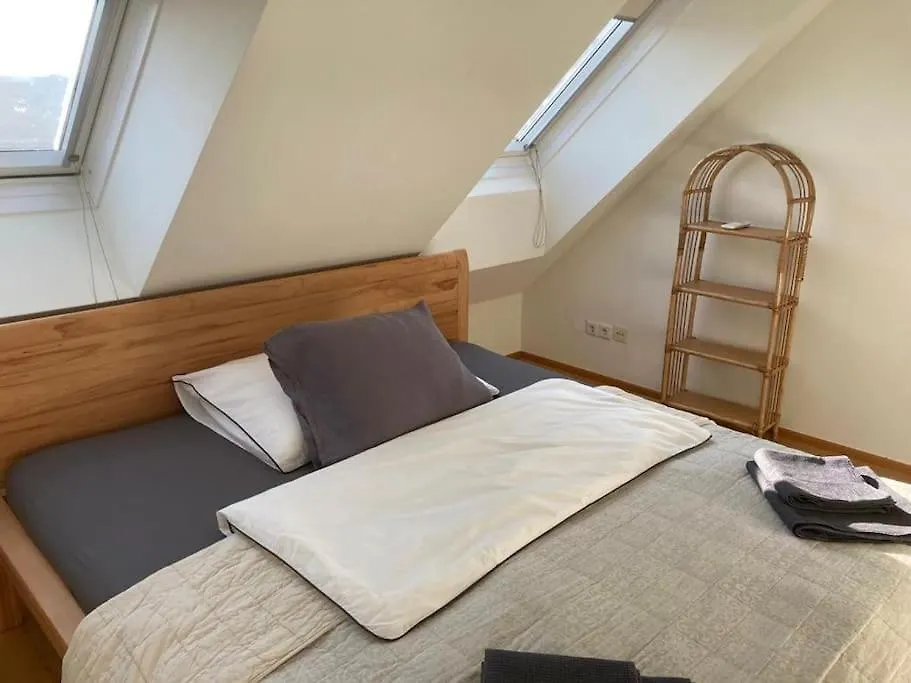 Central Rooftop Flat With Fire Place And Terrace Appartement Wenen