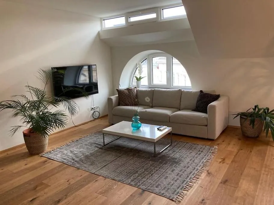 Central Rooftop Flat With Fire Place And Terrace Appartement Wenen